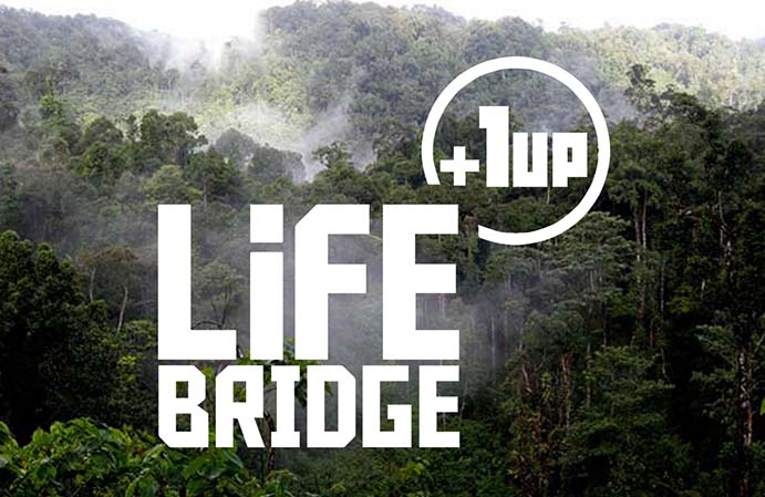 Games For Love Extends Lifeline to a Three-Year-Old Boy Surrounded in Silence